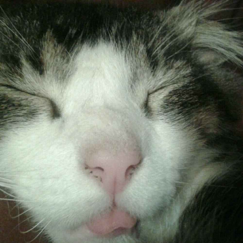 Meet your Posher, Melicia